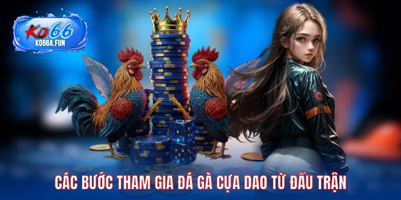 Các bước tham gia đá gà cựa dao từ đầu trận