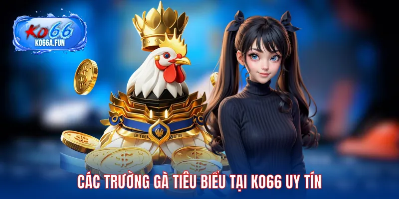 Các trường đấu tiêu biểu tại KO66 uy tín