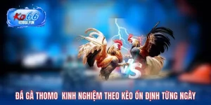 Đá gà thomo