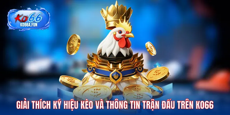 Giải thích ký hiệu và dữ liệu hiển thị trên KO66