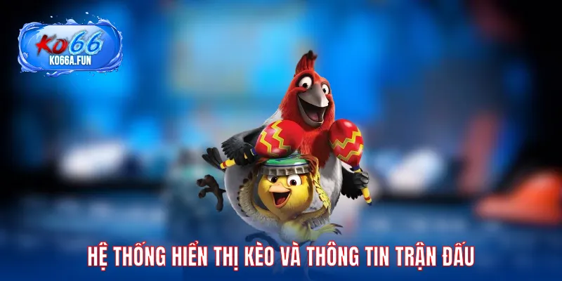 Hệ thống hiển thị kèo và thông tin trận đấu