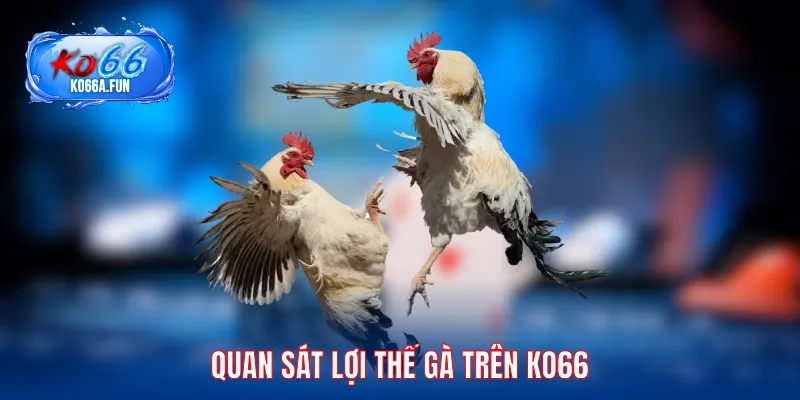 Quan sát lợi thế trên KO66